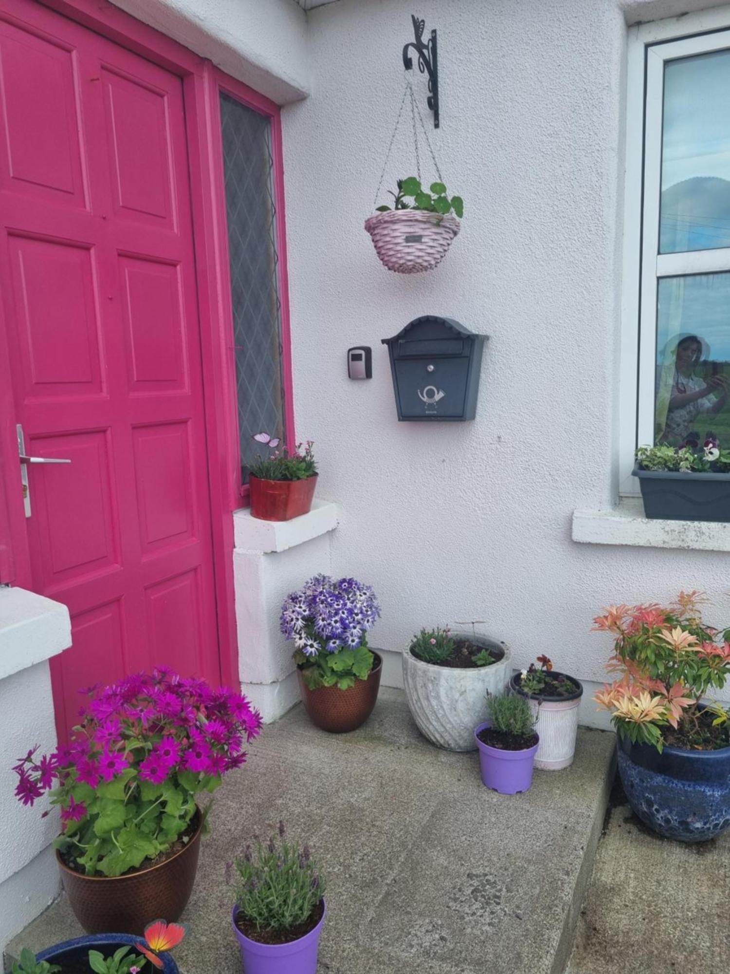 The Pink Door Killala